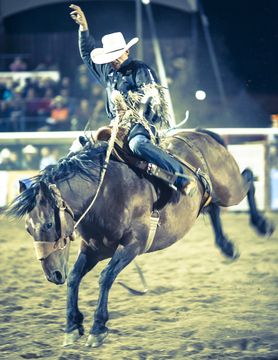 Rodeo show