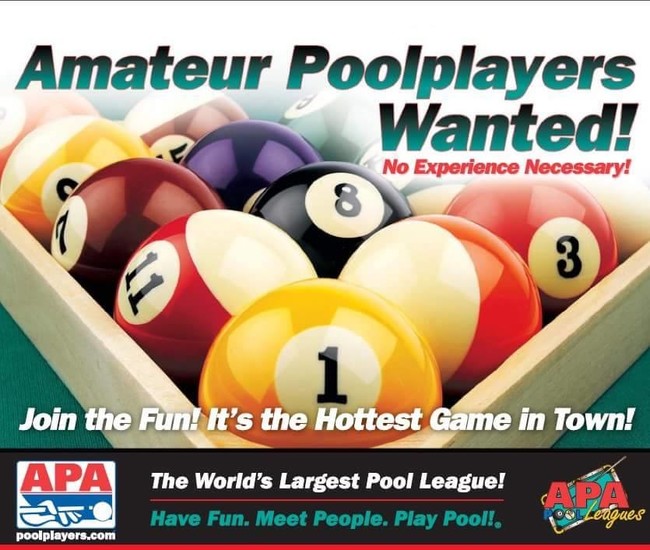 Apa Pool Players Crystal Valley