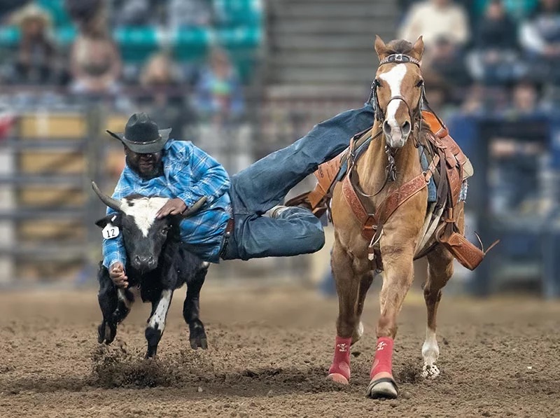 Trach Rodeo Stock Things to Do This Weekend in Castle Rock, January 16 and Beyond!